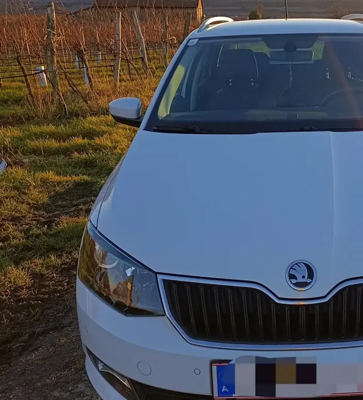 Skoda Fabia 1.0 TSI